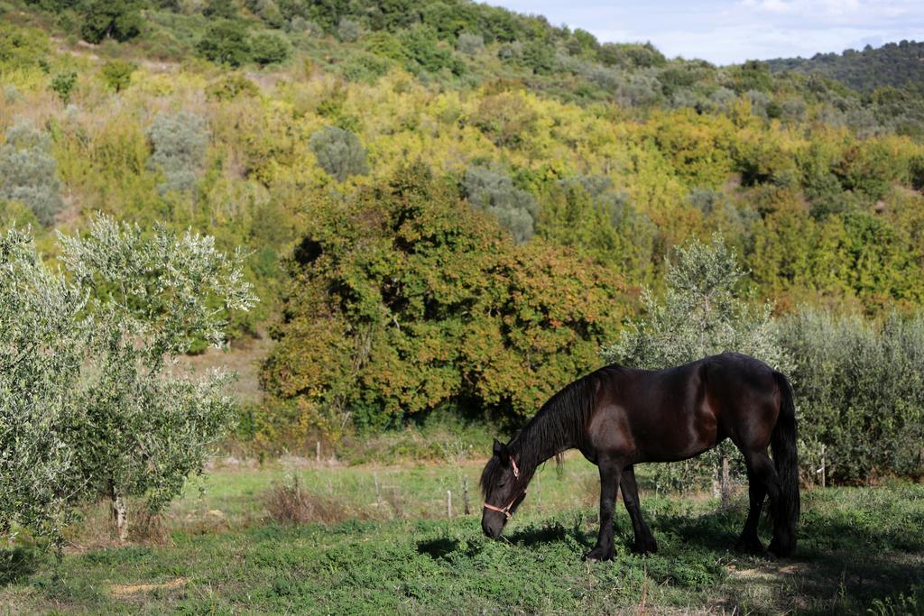 Morrano Tenuta Ponziani Wine Resort&Spa מראה חיצוני תמונה